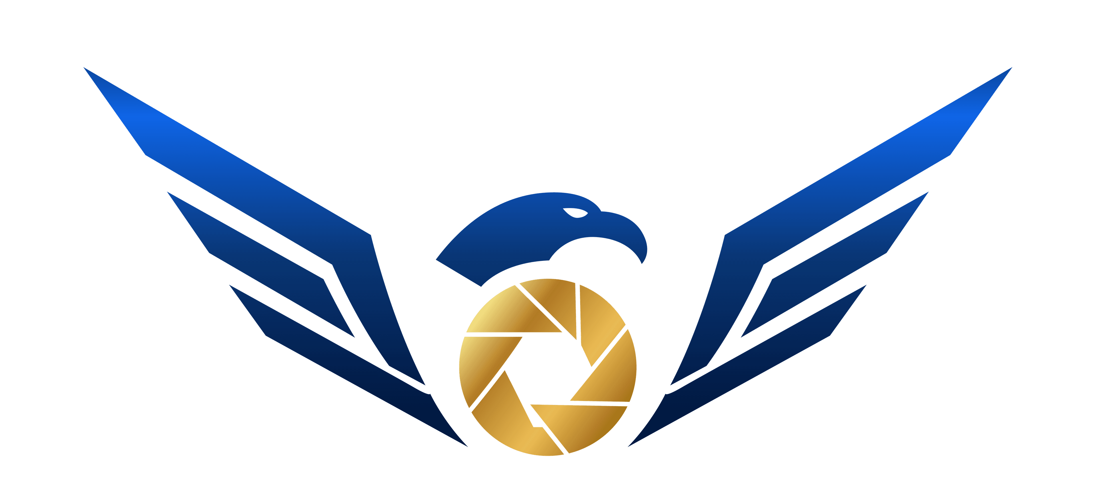 Eagleview Studio Logo